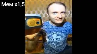 Погружаем и включаем все виды мема