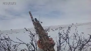 Весенняя охота на гусей!