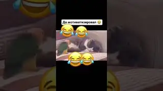 #спорт #мотивация #юмор