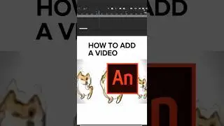How to ADD a VIDEO in Adobe Animate? 🤩✅ 