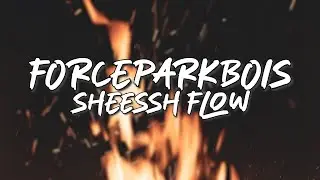 FORCEPARKBOIS - SHEESSH FLOW (Lirik)