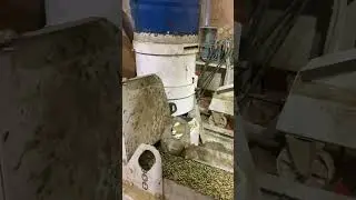 Гранулятор ZLSP-400. Пробный запуск и обкатка на траве.