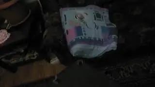 Стал дтжедаем