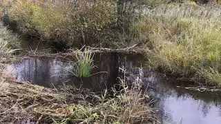 Dam demolition