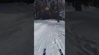 на лыжах с моста по трассе здоровья