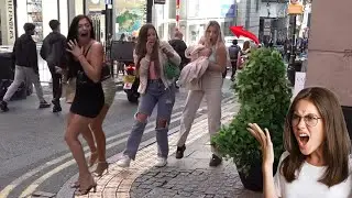 Top Funniest Reactions Of Bushman Prank 2025 | Bushman Prank
