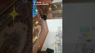 20 февраля 2019 г.