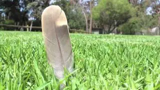 Canon 600D / Rebel T3i HD TEST VIDEO 1080p w/ 18-55mm Kit Lens
