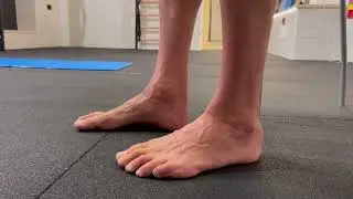 Intrinseci Piedi