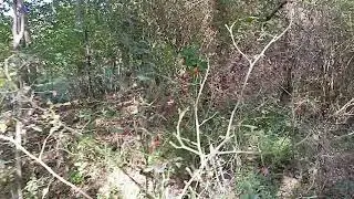 ığdır tuzluca gaziler treking yolu