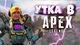 ЛОМАЕМ ОРЕШКИ В АРЕХ🐥 Утиные Стримы🦆