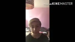 муравьи лазиус нигер первый лет и содержание