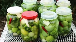 Green tomatoes, cold pickling method, under nylon lids. Like barrel tomatoes.