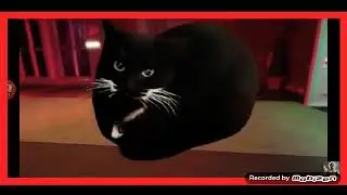 Максвелл кот вместо сика DOORS