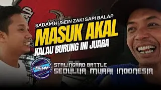 MASUK AKAL Jika murai Batu SADAM HUSEIN Juara di Sedulur Murai Indonesia