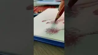 Как рисовать карандашами? #painting #art #творчество