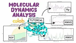 Molecular Dynamics Analysis: A Complete Tutorial Using Google Colab!