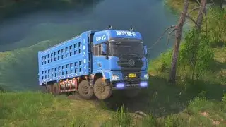 Full Road Tracks Have Trouble Gating Out  Puddles
