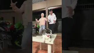 PLAYING SQUID GAME WITH CAT AKMAL😱
