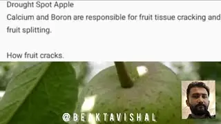 Why #fruits Crack? @beaktavishal @letsgrowapple7038