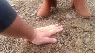 Hand trample