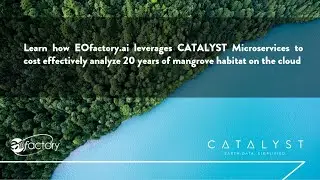 Learn how EOfactory.ai leverages CATALYST Microservices