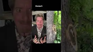 You had one(?) job with SCP-4521 🌲🤛💢 #drsherman #site42 #scp #scp4521
