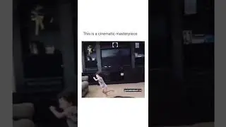 He tried. #funny #funnyvideo  #memesdaily #shorts