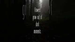 Character develops in darkness. 