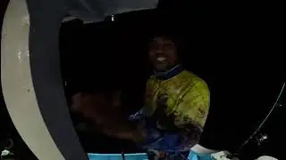 tarikan predator malam bikin nagih