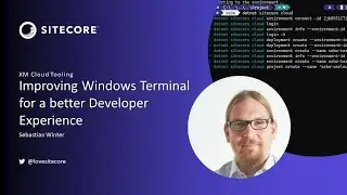Improving Windows Terminal for a better Developer Experience