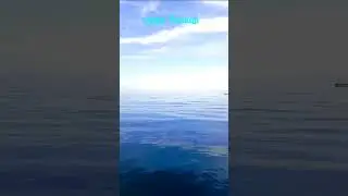 Рыбалка на Байкале! 🌊