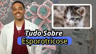 ESPOTOTRICOSE EM GATOS. Tudo sobre a doença.