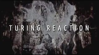 Turing Reaction | Short Abstract Film by Daniel Sandner