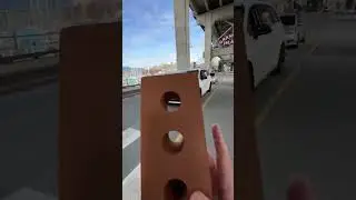 Необычный пешеходный переход