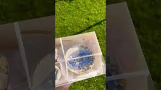Трайфлы и Бенте 👋Где мои 39😂Солнышко Вам в ленту🌈☀️