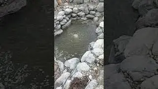 Мою купальный пруд после зимы