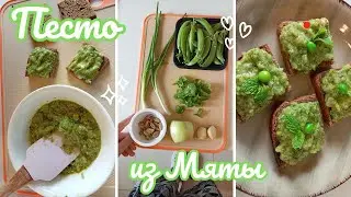 Соус Песто из Мяты и с Зеленым Горошком Рецепт Vegan Mint Pesto Recipe 민트 페스토 레시피