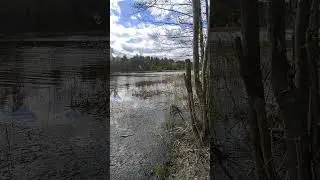 ПОЛОВОДЬЕ