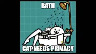BATH CATS NEEDS PRIVACY