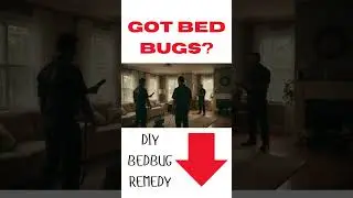 The Story How To Get Rid Of Bed Bugs Yourself #shorts #bedbugscontrol #pestcontrol #budbugs