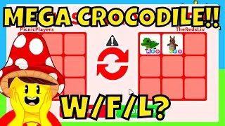 OMG!!! A Mega Crocodile, I Really Want This! Did I Over Pay??