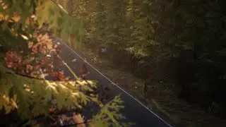 Life is Strange 2 - Episode 1: Roads / Woods Introduction Scene