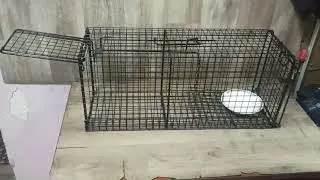 Принцип работы котоловки