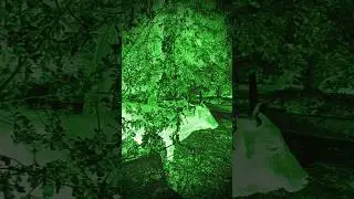 Bhootiya video #shorts #ytshorts #ghost #creepy #youtubeshorts #bhoot #bhootmovie #aahat