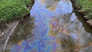 Экологическое бедствие на Сетуни! Кто виноват и что делать? Весна 2024