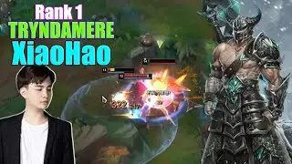 RANK 1 TRYNDAMERE - XIAOHAO TRYNDAMERE VS DARIUS