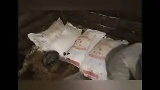 Миф или реальность? Как начинать заводить КРС??