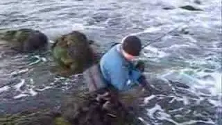 Peter, The Schoolie & The Wave