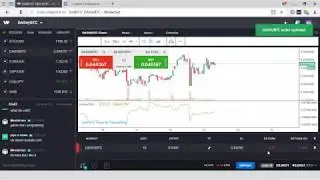 Как Выставлять Stop Loss на Бирже Whaleclub